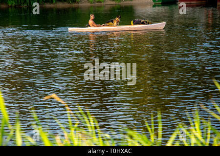 Gite in barca con il cane. Cane in barca. Persone in barca sul fiume Gauja in Lettonia, peacefull natura scena. In barca attraverso il fiume. Gita in barca lungo il Gauja R Foto Stock