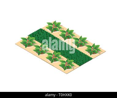 Alberi del parco un letto floreale Illustrazione Vettoriale