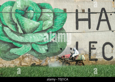 Un agricoltore in tuta protettiva applica uno spray chimico al campo di cipolla, l'iscrizione - ci sono lattuga, Valencia Spagna contadino al murale Foto Stock