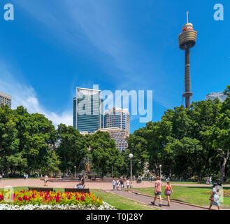 La Torre di Sydney e il Quartiere Centrale degli Affari (CBD) da Hyde Park, Sydney, Australia Foto Stock