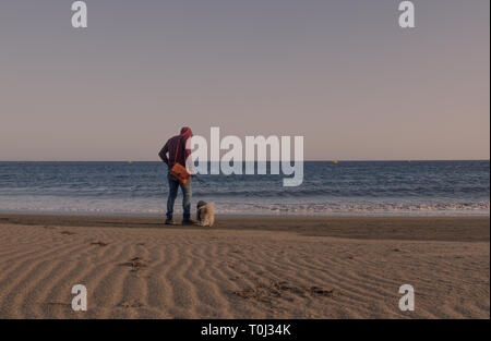 Uomo a camminare sulla spiaggia con il suo cane Foto Stock