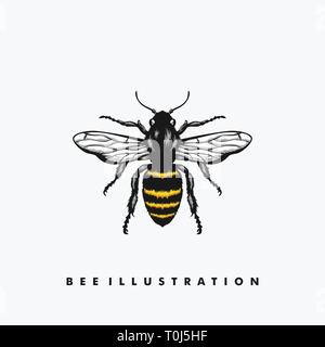 Bee illustrazione vettoriale modello di progettazione. Adatto per industria creativa, Multimedia, intrattenimento, educative, Shop, e qualsiasi attività correlate Illustrazione Vettoriale