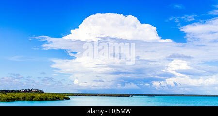 Nuvole temporalesche formando oltre le mangrovie di Roebuck Bay. Broome WA Foto Stock