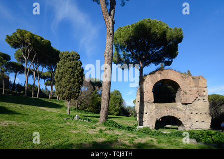 Rovine dell'Aqua Claudia antico acquedotto romano o di Nerone (Acquedotto Arcus nerioniani) sul Colle Palatino o giardini Palatino Roma Italia Foto Stock