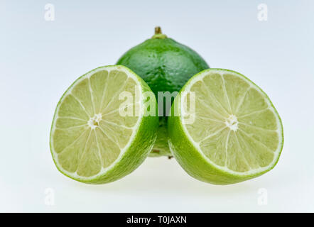 Limes, studio di ammissione, Limetten, Studioaufnahme Foto Stock