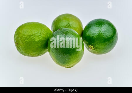 Limes, studio di ammissione, Limetten, Studioaufnahme Foto Stock