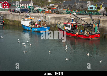 Barche a motore da pesca ormeggiate nel porto di Dingle, Dingle, Contea di Kerry, Irlanda Foto Stock