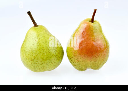 Pera, studio di ammissione, Birne, Studioaufnahme Foto Stock