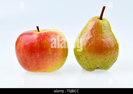 Mela, pera, studio di ammissione, Apfel, Birne, Studioaufnahme Foto Stock