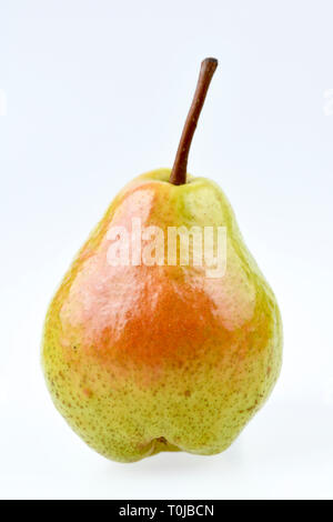 Pera, studio di ammissione, Birne, Studioaufnahme Foto Stock