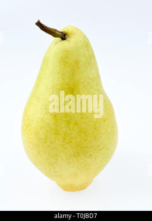 Pera, studio di ammissione, Birne, Studioaufnahme Foto Stock