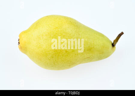 Pera, studio di ammissione, Birne, Studioaufnahme Foto Stock
