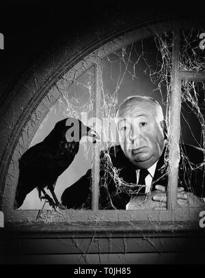 ALFRED HITCHCOCK, CROW, gli uccelli, 1963 Foto Stock