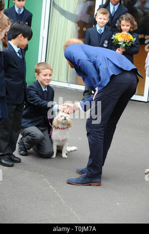 Londra, Regno Unito. 20 Mar, 2019. Il principe Harry visto arrivare presso St Vincent's RC scuola per unirsi agli scolari che prendono parte a un progetto di trapianto di alberi a sostegno della regina della tettoia del Commonwealth (QCC) iniziativa, insieme con il bosco di fiducia. Anno 5 allievi da St Vincent la scuola elementare cattolica a Acton pianteranno alberelli nella scuola esterna dell area natura. Acton West London. Credito: Terry Scott/SOPA Immagini/ZUMA filo/Alamy Live News Foto Stock