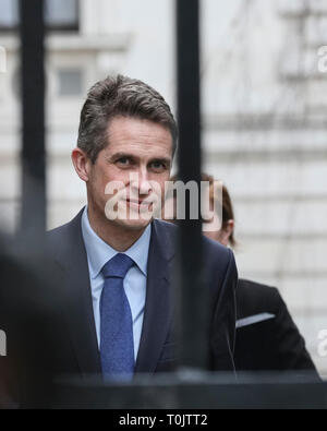 A Downing Street, Londra, Regno Unito. 20 Mar, 2019. Gavin Williamson CBE MP. Il segretario di Stato per la difesa.Ministri entrare e lasciare Downing Street più volte nel corso di una giornata intensa a Westminster. Credito: Imageplotter/Alamy Live News Foto Stock