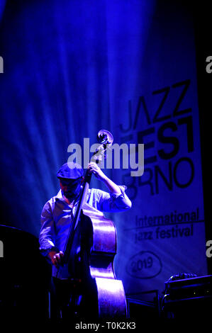Brno, Repubblica Ceca. 20 Mar, 2019. Il bassista Tomas Baros esegue con Ondrej Stveracek's Jazz quartetto durante il suo progetto spaziale entro Jazzfest Brno, Repubblica Ceca, il 20 marzo 2019. Credito: Igor Zehl/CTK foto/Alamy Live News Foto Stock