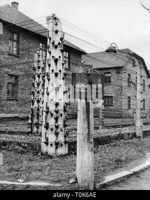 Geografia / viaggi, Polonia, Oswiecim, campo di concentramento di Auschwitz Memorial, recinzione elettrificata, 1963, , Additional-Rights-Clearance-Info-Not-Available Foto Stock