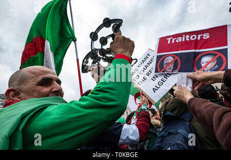 Protesta algerino in Trafalgar Place London calling per il Presidente Abdelaziz Bouteflika di step-down. Foto Stock