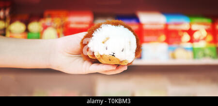 Giocattolo peruviana cavia in mano turistica nel negozio di souvenir di Cusco, Perù. Foto Stock