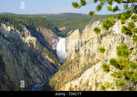 Vista delle Cascate Inferiori a cascata ed il fiume Yellowstone dall'artista Point Lookout nel Parco Nazionale di Yellowstone, Wyoming Foto Stock