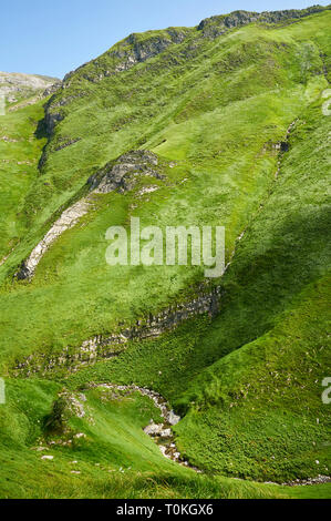 Verdi colline e Harpéko Erréka creek vicino Arpea grotta, spettacolare piega anticlinale piega circondato da verdi pascoli nei Pirenei francesi (Estérençuby,Francia) Foto Stock