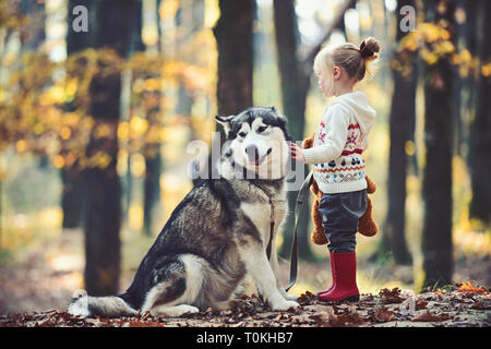 Infanzia, gioco e divertimento. Cappuccetto rosso con il lupo nella favola di boschi. Il bambino gioca con husky e orso di peluche su aria fresca esterna. Bambina con Foto Stock