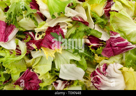 insalata Foto Stock