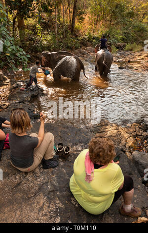 Cambogia, zone di Mondulkiri Provincia, Sen Monorom, elefante progetto Valle, volontari guardando ex elefanti di lavoro essendo lavato nel fiume Foto Stock