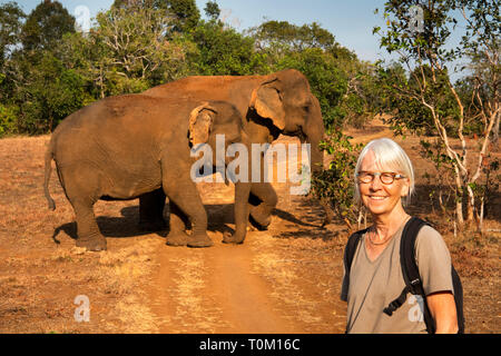 Cambogia, zone di Mondulkiri Provincia, Sen Monorom, elefante progetto Valle, senior visitatore femmina che posano per una foto ricordo con Sambo, ex tempio el Foto Stock