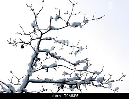 La Svezia,   l'inverno freddo, stagione, regioni, congelamento, temperature, ghiaccio, neve Foto Stock
