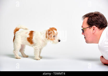 Ritratto di uomo felice sdraiato sul pavimento, giocando con gli adorabili Jack Russell Terrier Il cucciolo di vuoti interni studio su sfondo bianco. Il pet lover concept Foto Stock