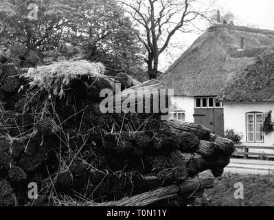 Architettura, lavori di costruzione edilizia, la copertura di un tetto con reed, impilati reed fasci, Keitum, isola di Sylt, sessanta, Additional-Rights-Clearance-Info-Not-Available Foto Stock