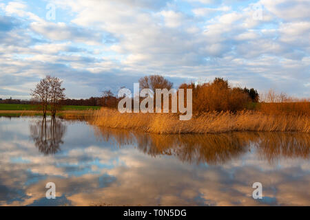 Autunno dorato erba sul lago. Paesaggio autunnale, soleggiata sera. Luminose autunno erba con il loro riflesso nell'acqua. Foto Stock