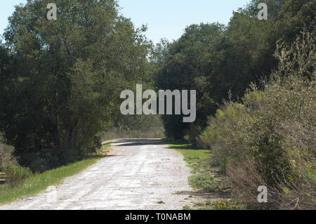 El Camino Real, strada spagnola tra le missioni, a La Purisima missione nei pressi di Lompoc CA. Fotografia digitale Foto Stock