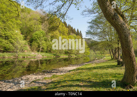 Il fiume Ourthe vicino Maboge, La Roche-en-Ardenne in Belgio su una bella giornata in primavera. La riva del fiume con una piccola spiaggia è un popolare tou Foto Stock