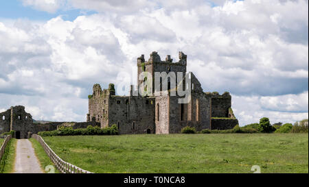 Resti di Dunbrody Abbey nella Contea di Wexford, Irlanda Foto Stock