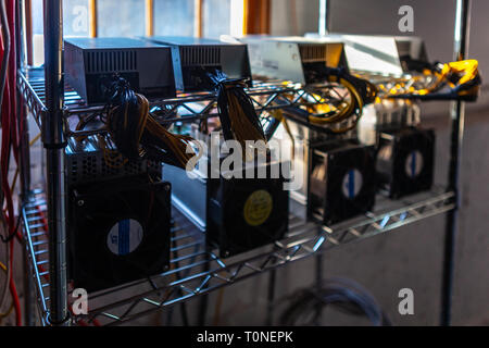 Hardware scheda di circuito per l'estrazione mineraria cryptocurrency - tecnologia finanziaria e denaro per Internet - blockchain bitcoin BTC Foto Stock