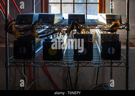 Hardware scheda di circuito per l'estrazione mineraria cryptocurrency - tecnologia finanziaria e denaro per Internet - blockchain bitcoin BTC Foto Stock