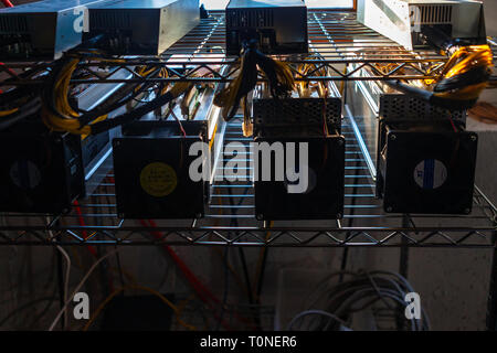 Hardware scheda di circuito per l'estrazione mineraria cryptocurrency - tecnologia finanziaria e denaro per Internet - blockchain bitcoin BTC Foto Stock