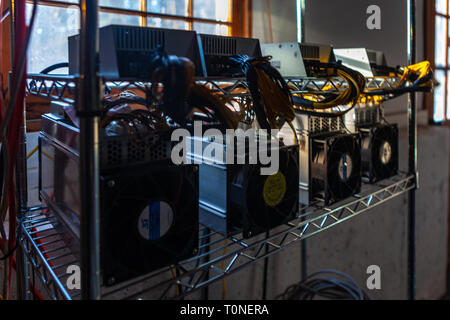 Hardware scheda di circuito per l'estrazione mineraria cryptocurrency - tecnologia finanziaria e denaro per Internet - blockchain bitcoin BTC Foto Stock