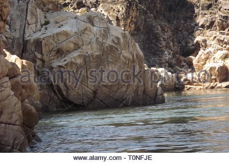 New Scenic 5 posti in barca sul fiume Narmada a Bhadeghat, Madhya Pradesh Foto Stock