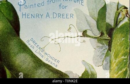 Dreer's garden prenota 1906 Dreer's garden prenota : 1906 dreersgardenbook1906henr Anno: 1906 jA/?y Foto Stock