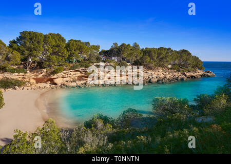 Cala Calafato Ametlla de Mar spiaggia in Costa Dorada di Tarragona Catalogna L'Ametlla Foto Stock