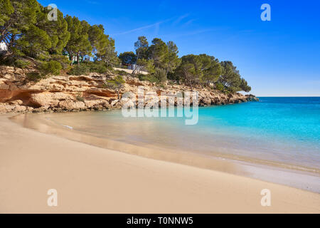 Cala Calafato Ametlla de Mar spiaggia in Costa Dorada di Tarragona Catalogna L'Ametlla Foto Stock