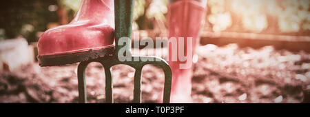 Sezione bassa della donna che indossa rosa il soffietto in gomma in piedi con la forcella di giardinaggio su sterrato Foto Stock