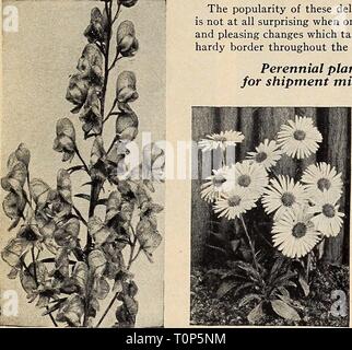 Dreer dell'autunno piantando guida per Dreer dell'autunno piantando guida per 1940 dreersautumnplan1940henr Anno: 1940 Qualità Dreer Hardy piante perenni della popolarità di questi deliziosi hardy fiori da giardino non è affatto sorprendente se si considerano i molti e vari e piacevoli i cambiamenti che avvengono nella ben sistemati a bordo hardy durante tutta la stagione di crescita. Piante perenni sono pronti per la spedizione e metà ottobre piante da piante di posta fino a una dozzina o così verrà inviato tramite pacco postale se aggiungi al tuo rimessa 10%%%% (15%%%% ovest del Missis- sippi) del loro valore per coprire p Foto Stock
