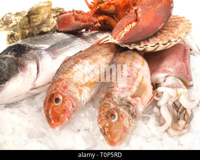 Pesce e frutti di mare su sfondo bianco Foto Stock