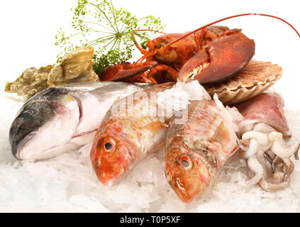 Pesce e frutti di mare su sfondo bianco Foto Stock