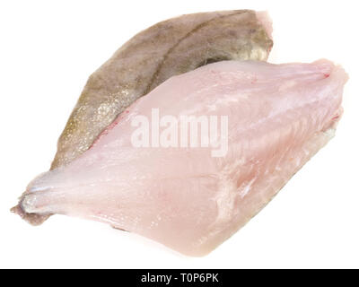 San Pierre Filetto di pesce crudo su sfondo bianco Foto Stock