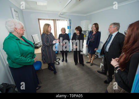 Larbert, Falkirk, Regno Unito. Il 21 marzo 2019. Nella foto: (sinistra - destra) Lynn Wadell - NHS Forth Valley uguaglianza piombo; Hazel Somerville - genere basato violenza piombo e Responsabile del Centro; Cathie Cowan - Chief Executive NHS Forth Valley; Jeane Freeman MSP - Armadio Segretario per la salute e lo sport; Dr Catherine Calderwood - Direttore medico per il Governo scozzese; Alex Linkston Chief sedia NHS Forth Valley; Nicky Carmichael - Depute testa del CEO Task Force unità. Credito: Colin Fisher/Alamy Live News Foto Stock